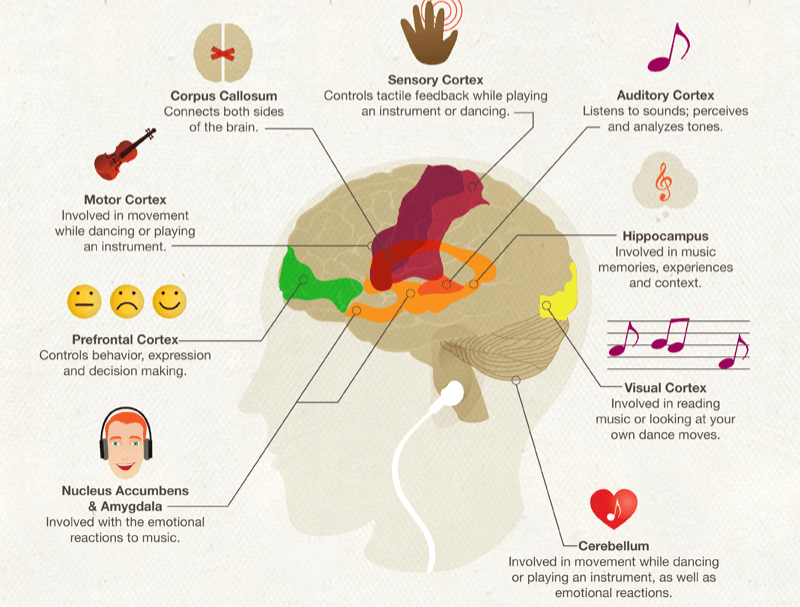 پس از خواندن تاثیر روان شناختی موسیقی بر ذهن و بدن، با بینش بیشتری دست به انتخاب موسیقی خواهید زد.