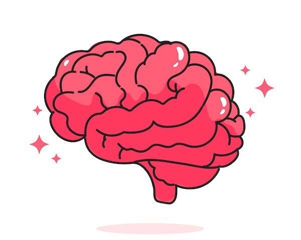 ذهنی سازی چیست و چه بخش هایی از مغر مسئول ذهنی سازی اند؟