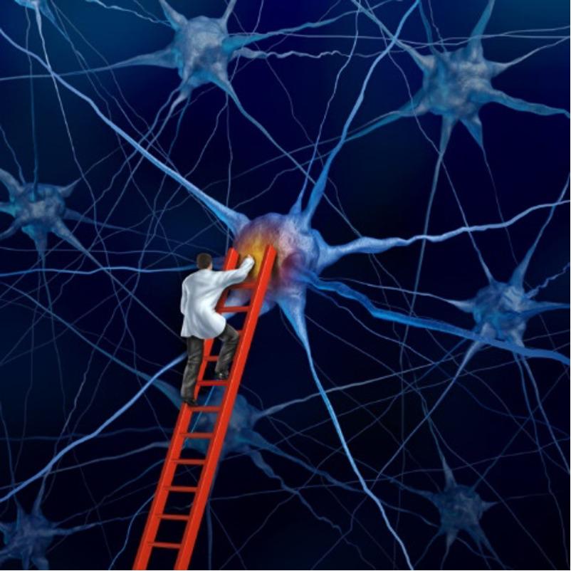 هدف علوم اعصاب محاسباتی شناختی، پل زدن شکاف بین مغز و رفتار با توسعه مدل‌های محاسباتی فرآیندهای شناختی است.