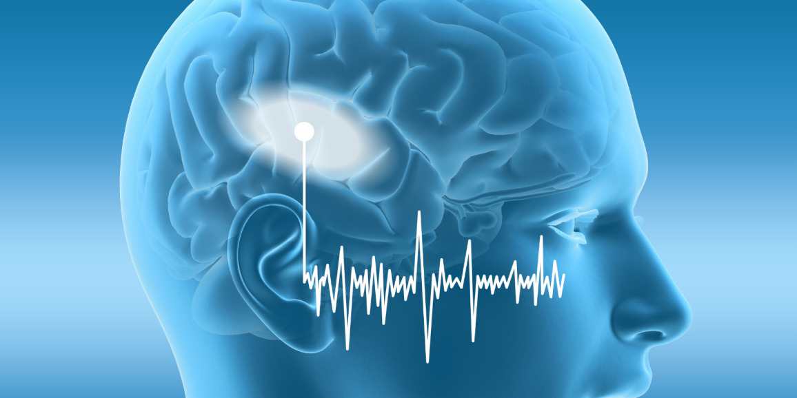قشر شنوایی یکی از قشر های مهم مغز است که در تاثیر موسیقی متال بر مغز نقش اساسی دارد.